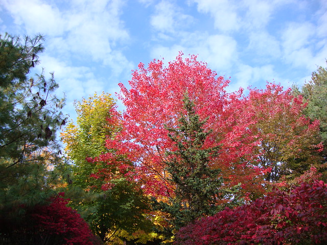 Lake George stunning autumn colors