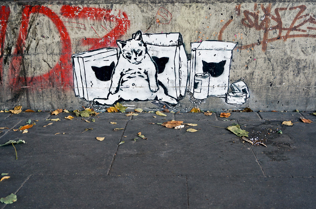 Street Art Katze Cat