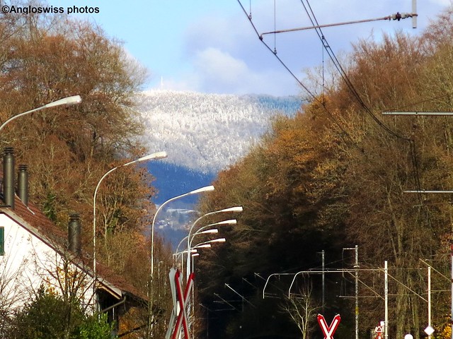 View along the road in Feldbrunnen
