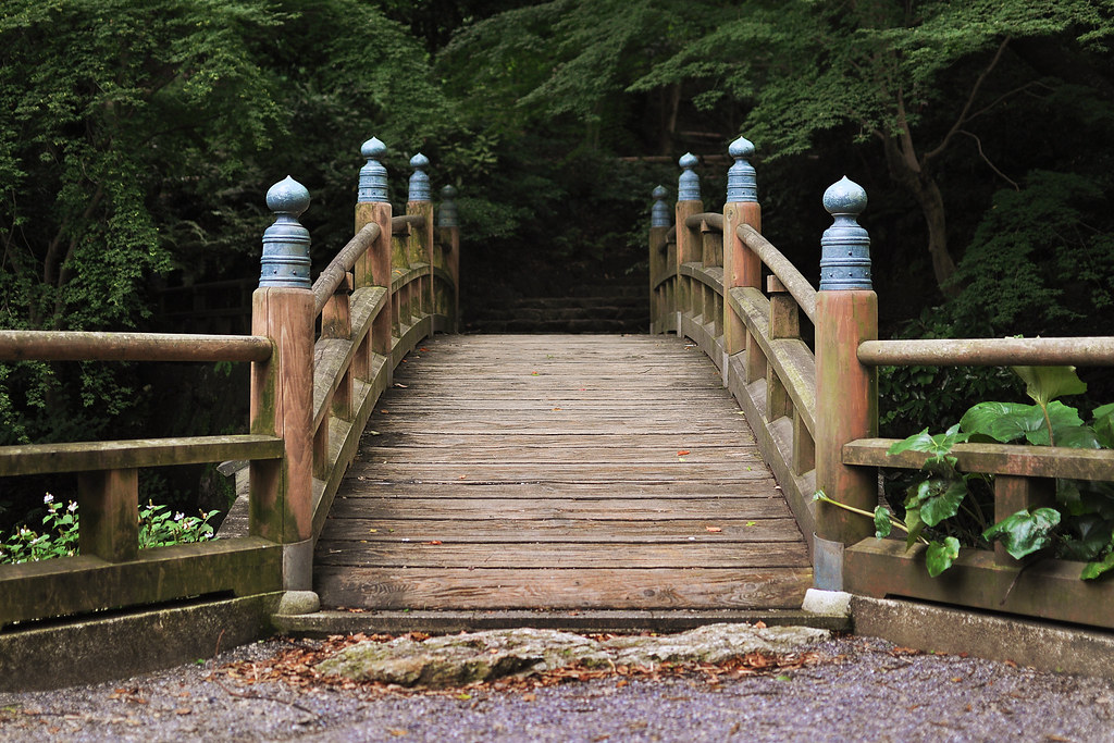 Bridge at Japanese Garden - Hamamatsu Castle Park