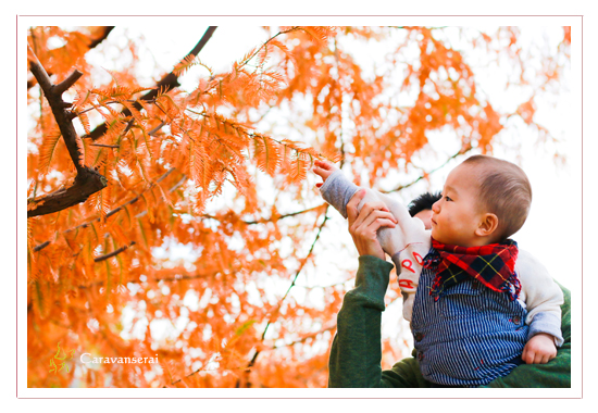 ロケーション撮影　屋外　公園　写真　モリコロパーク　愛知県長久手市　紅葉シーズン　家族写真　子供写真