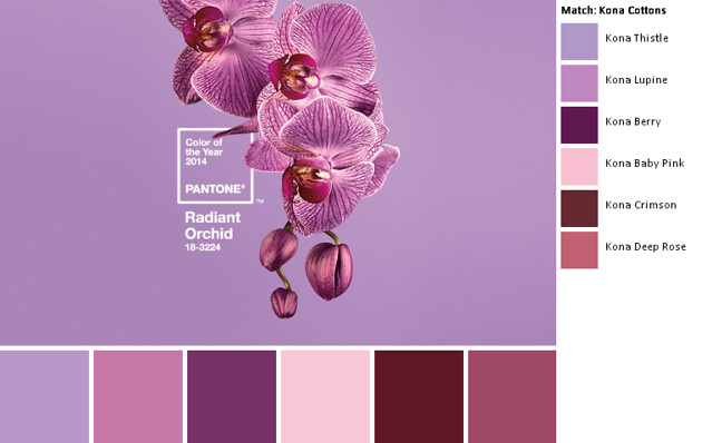 plum color pantone