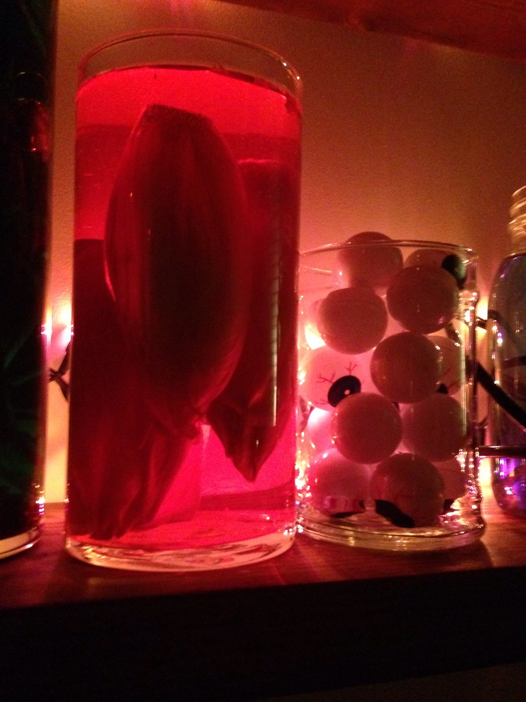 Halloween 2013 specimen jars