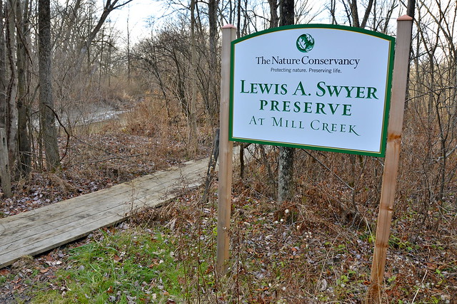Nature Conservancy Lewis A. Swyer Preserve