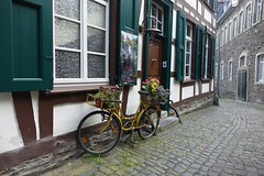 Fahrräder und Blumen