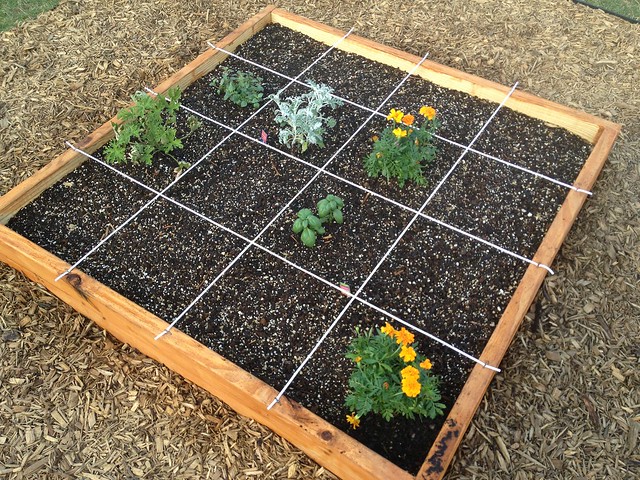 Our herb planter