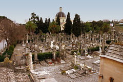 Friedhöfe-Cemeteries