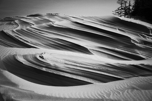 wind sculpted dunes