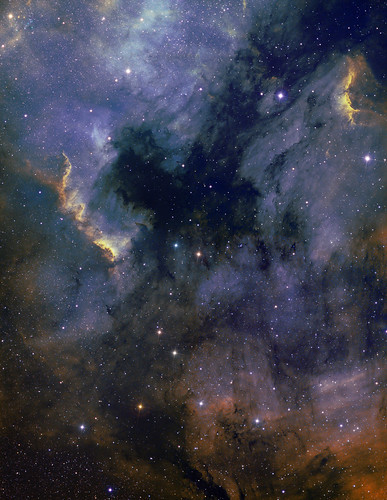 NGC7000 & Pelican nebula mosaic by Mick Hyde