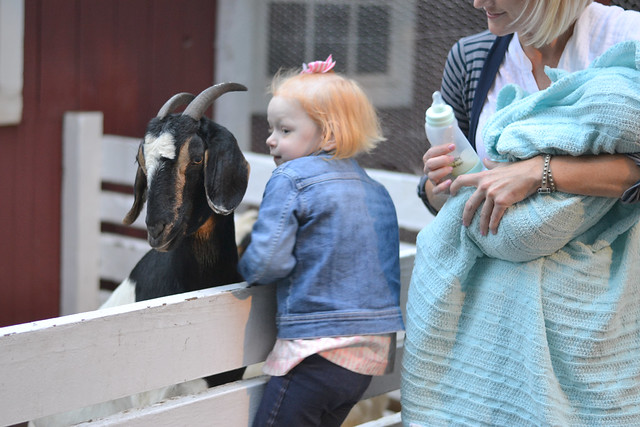 Violet and goat
