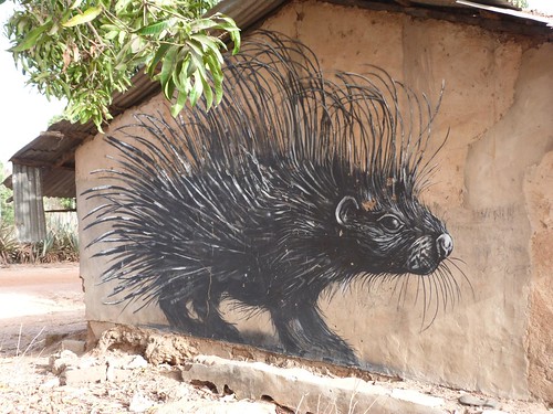 Graffiti village of Porcupine in Gambia (work ROA)