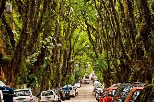 Зеленый оазис в центре Порту-Алегри – самая красивая улица в мире