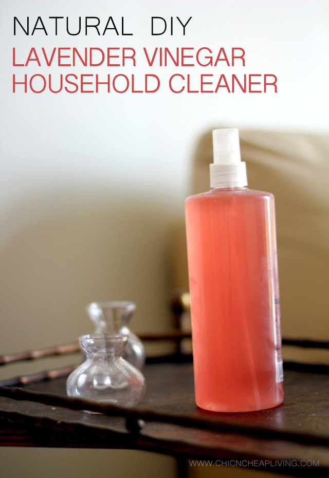 Natural DIY Lavender vinegar household cleaner by vases by Chic n Cheap Living