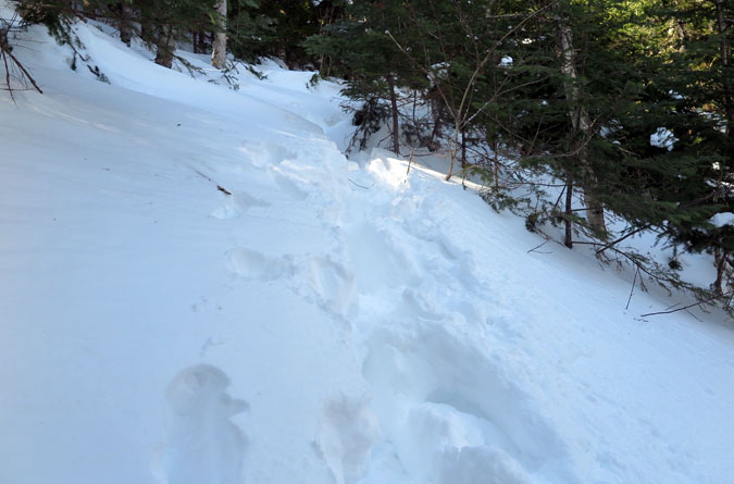 Signal Ridge Trail Snow 2