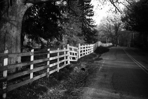 Fence and Road Study