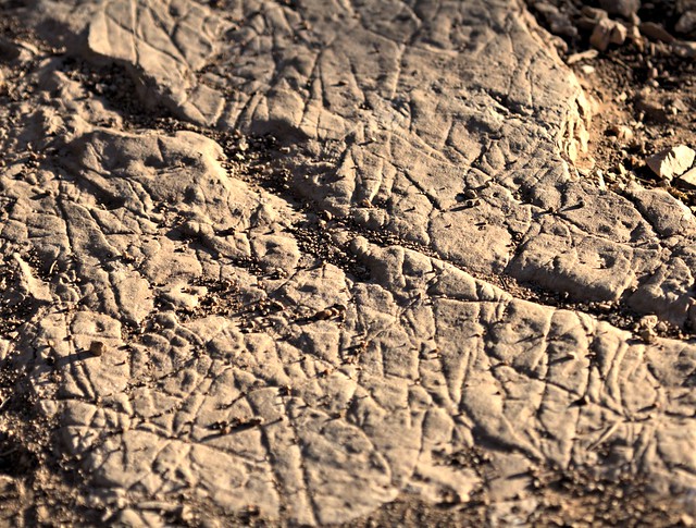 Striations on limestone rock 20130618
