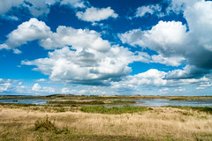 Oare marshes view Kent