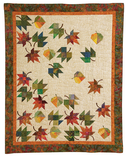 B1169_Eye-Catching_Quilts_Finals.indd
