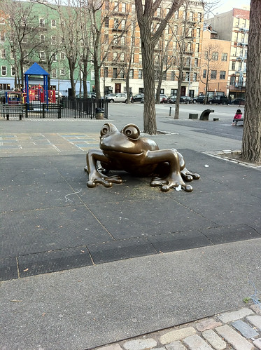 Frog in the city