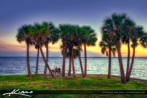 Palm Tree at Jensen Beach Indian River Lagoon by Captain Kimo