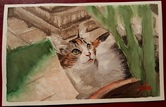 Animals (watercolor)