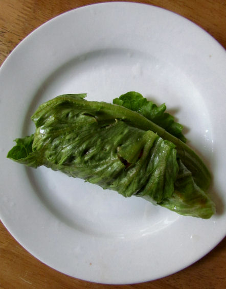 Sardine Salad in a Lettuce Wrap