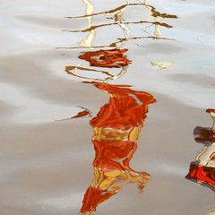 reflections 1 (water)