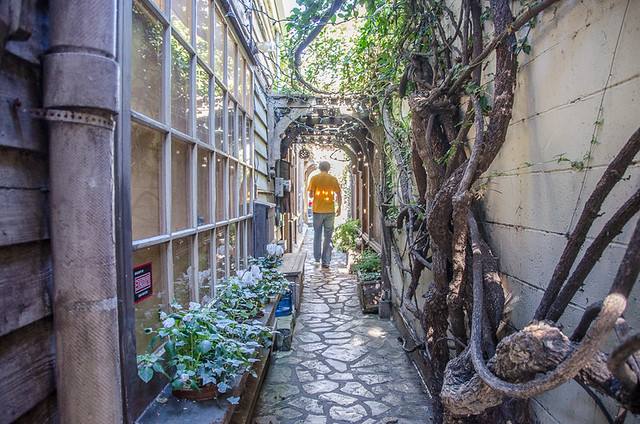Secret Courtyards and Passageways - Dog Friendly Carmel