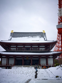 増上寺　雪　2014