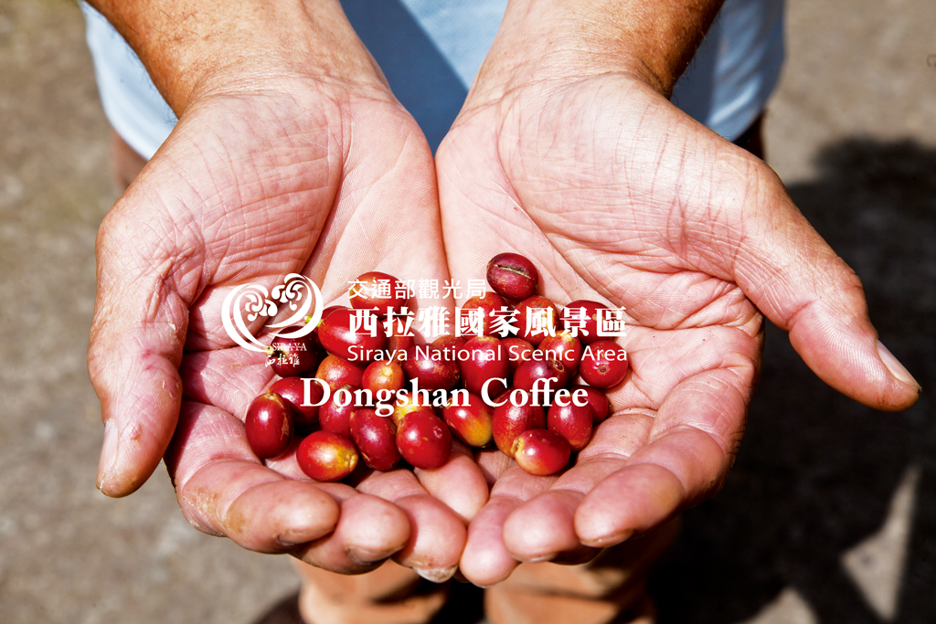 Dongshan Coffee 02