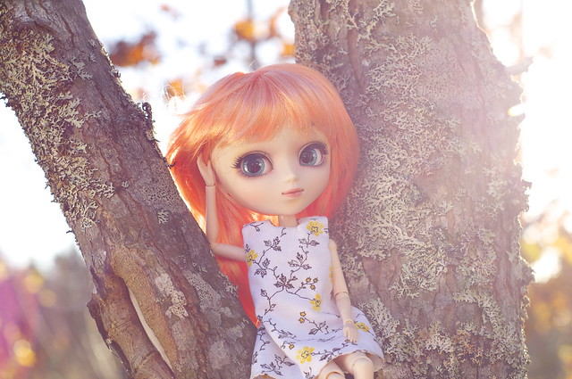 Hanging out in a tree at sunrise