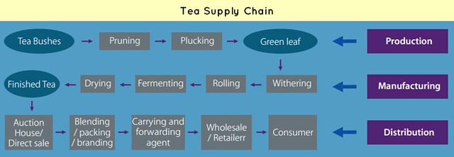 supply chain-Tea