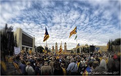 Manifestació Barcelona 11-2016