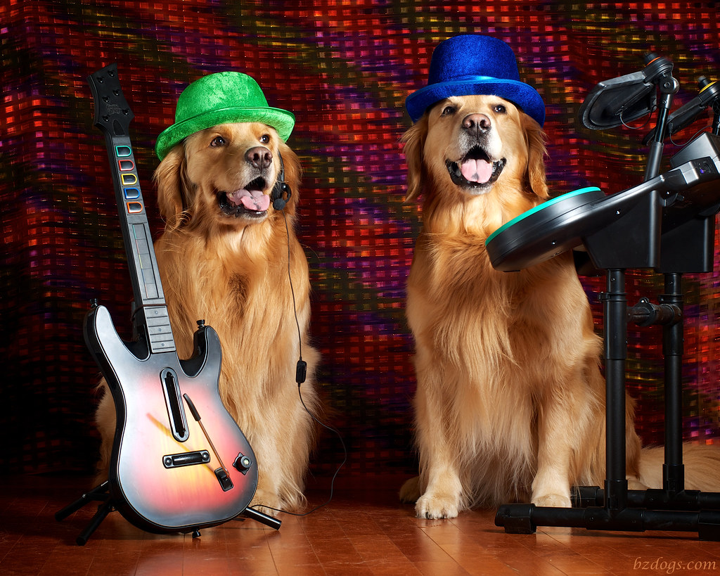 BZ Dogs Band