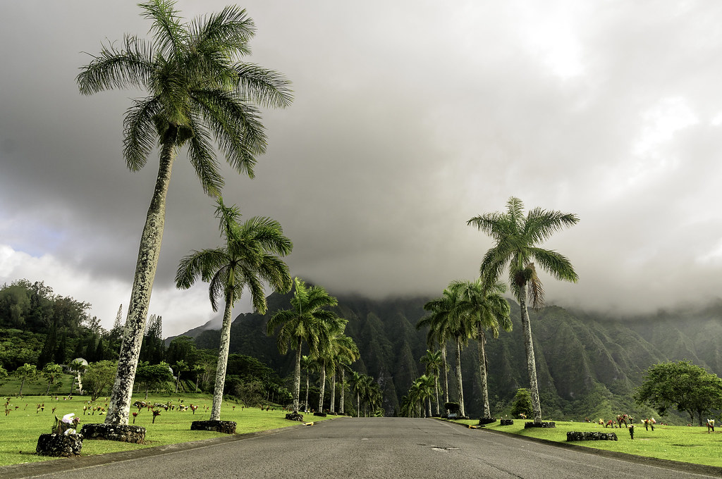 Oahu: Honolulu - Hawaii: 3 islas en dos semanas (6)
