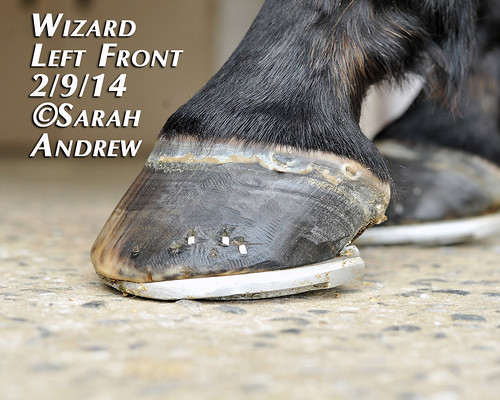Wizard's New Shoes