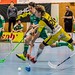 Unihockey Tigers - SV Wiler Ersigen (NLA), 26.03.2017