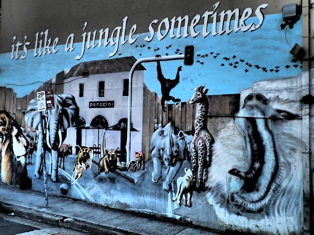 Life is like a jungle sometimes - Street art in Newtown, Sydney