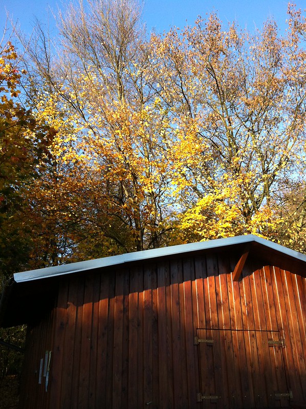 Autumn in the Taunus_sun on the refreshment shack