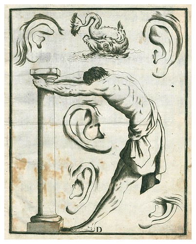 005-Letra D-Alfabeto in sogno-1720-Staatsbibliothek zu Berlin