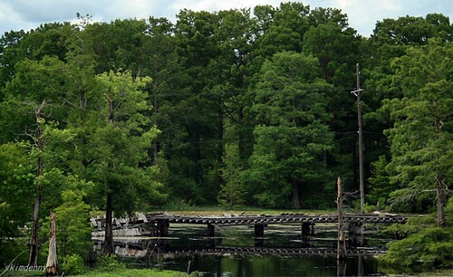 Swamp Bridge, Louisiana
