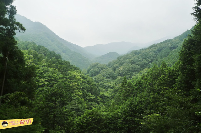 Hiking Mt. Nabewari - day trip from Tokyo - views