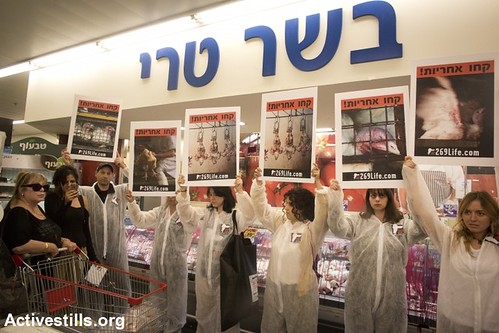 Animal Rights Direct Action, Tel Aviv 7.11.2013 by activestills