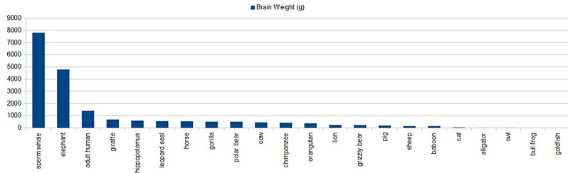 Brain Weight