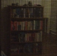 Bookshelf Reflection