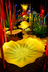 Chihuly Garden & Glass 