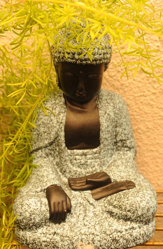 Textured statue of a black Buddha, with open hand, grasping knee, feet in lotus position, green plant, garden, South Bay Vajrayana, Cupertino, Silicon Valley, California, USA by Wonderlane