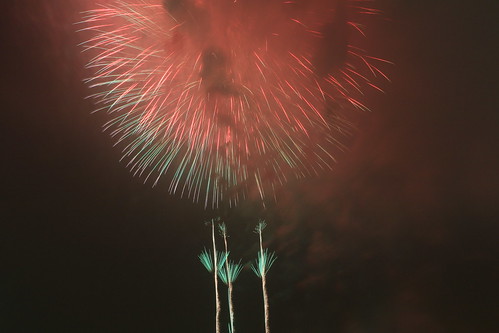 the 28th Kanagawa Shimbun Fireworks Festival 40
