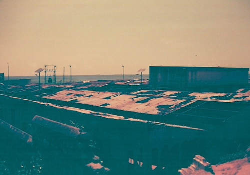 Redscale Roofs