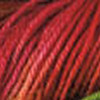 macaw pink-red-fuchsia